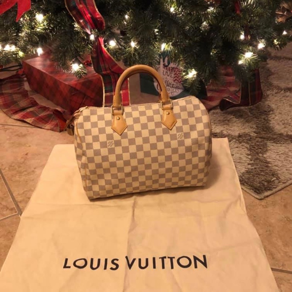 Louis Vuitton speedy 30 in Damian Azur